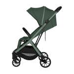 Cloe Plus Green Sage
