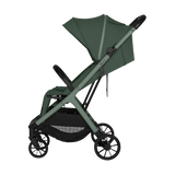 Cloe Plus Green Sage